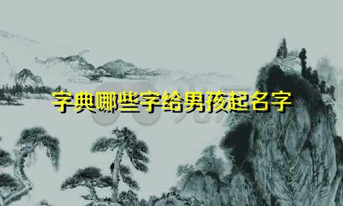 字典哪些字给男孩起名字