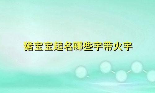 猪宝宝起名哪些字带火字