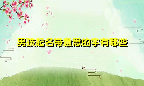 男孩起名带意思的字有哪些