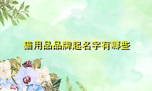 猫用品品牌起名字有哪些