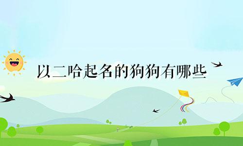 以二哈起名的狗狗有哪些