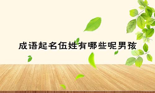 成语起名伍姓有哪些呢男孩