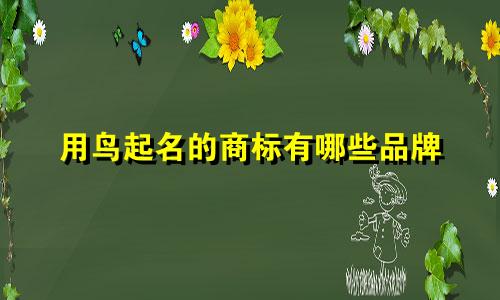 用鸟起名的商标有哪些品牌