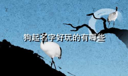 狗起名字好玩的有哪些