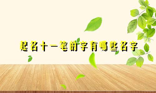 起名十一笔的字有哪些名字