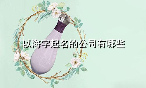 以海字起名的公司有哪些