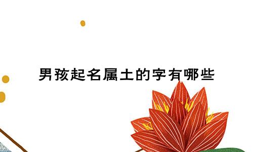 男孩起名属土的字有哪些