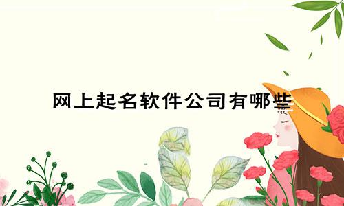 网上起名软件公司有哪些
