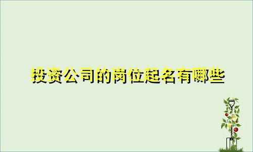 投资公司的岗位起名有哪些