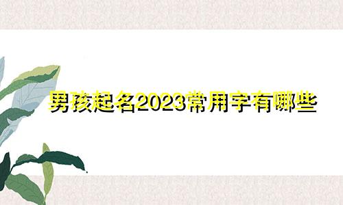 男孩起名2023常用字有哪些