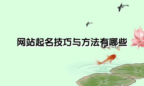 网站起名技巧与方法有哪些