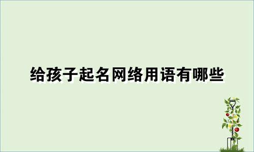 给孩子起名网络用语有哪些