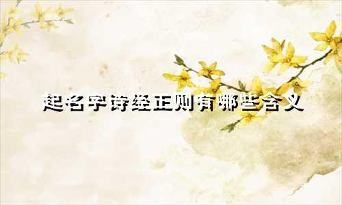 起名字诗经正则有哪些含义
