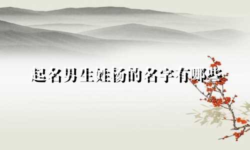 起名男生姓杨的名字有哪些
