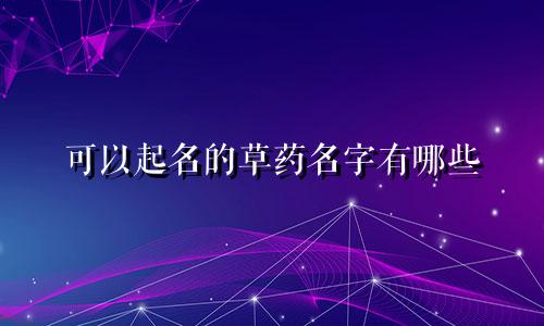 可以起名的草药名字有哪些
