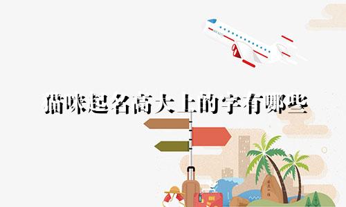 猫咪起名高大上的字有哪些