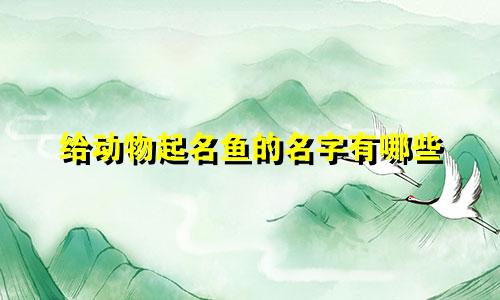 给动物起名鱼的名字有哪些