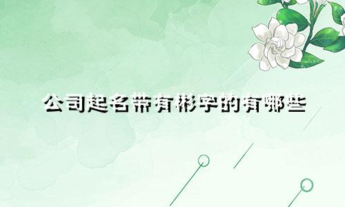 公司起名带有彬字的有哪些