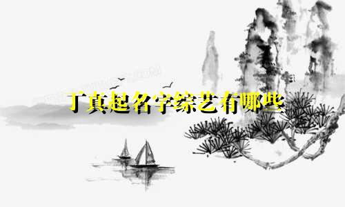 丁真起名字综艺有哪些