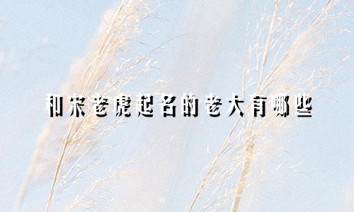 和宋老虎起名的老大有哪些
