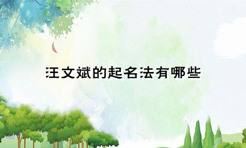 汪文斌的起名法有哪些