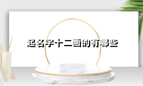起名字十二画的有哪些