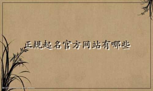 正规起名官方网站有哪些