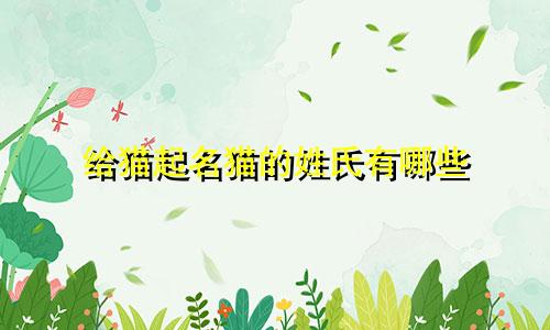 给猫起名猫的姓氏有哪些