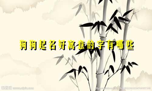 狗狗起名好寓意的字有哪些
