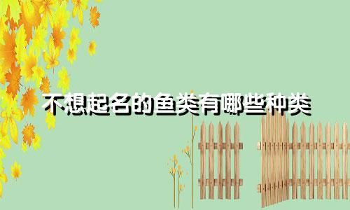 不想起名的鱼类有哪些种类