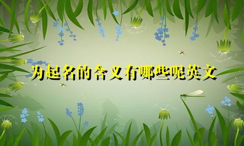 为起名的含义有哪些呢英文