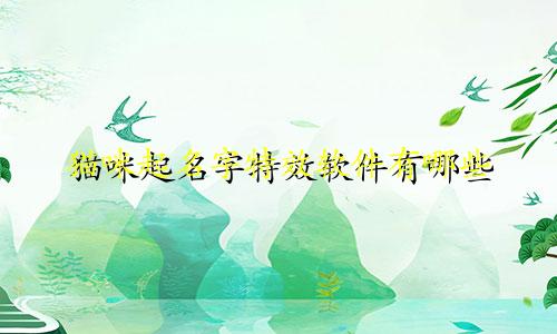 猫咪起名字特效软件有哪些