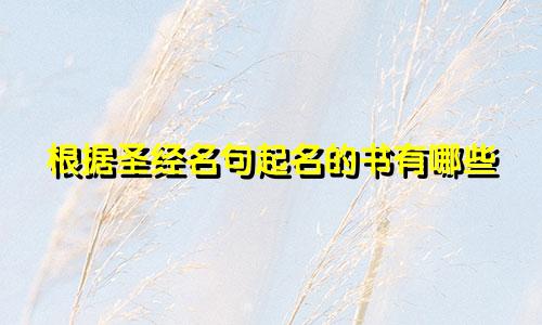 根据圣经名句起名的书有哪些