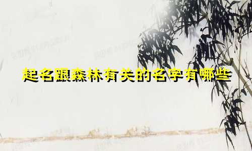 起名跟森林有关的名字有哪些