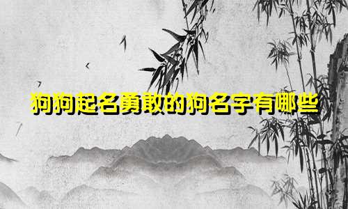 狗狗起名勇敢的狗名字有哪些
