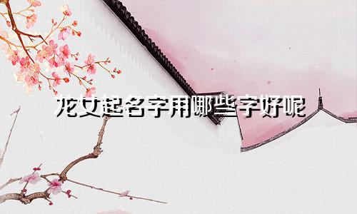 龙女起名字用哪些字好呢