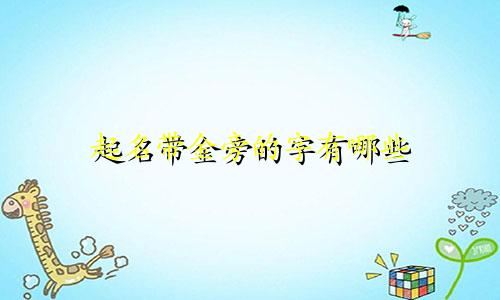 起名带金旁的字有哪些