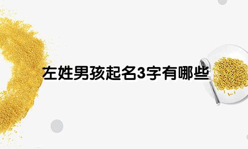 左姓男孩起名3字有哪些