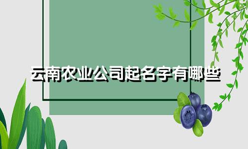 云南农业公司起名字有哪些
