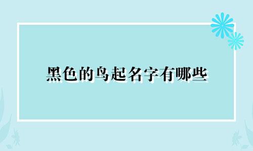 黑色的鸟起名字有哪些