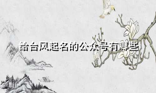 给台风起名的公众号有哪些