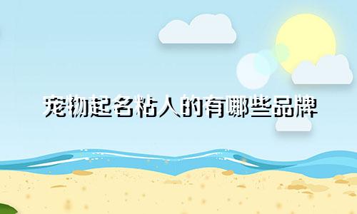 宠物起名粘人的有哪些品牌