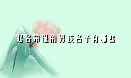 起名带瑾的男孩名子有哪些