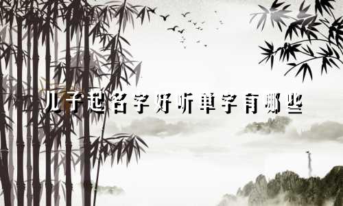 儿子起名字好听单字有哪些
