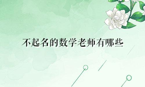 不起名的数学老师有哪些
