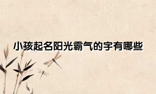小孩起名阳光霸气的字有哪些