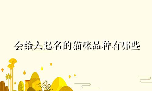 会给人起名的猫咪品种有哪些