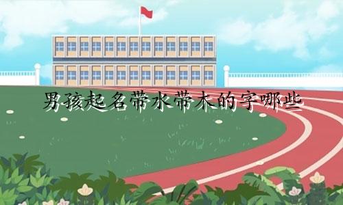 男孩起名带水带木的字哪些