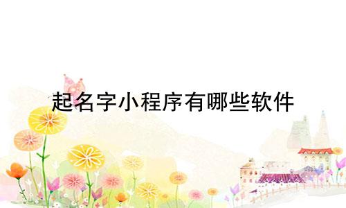起名字小程序有哪些软件