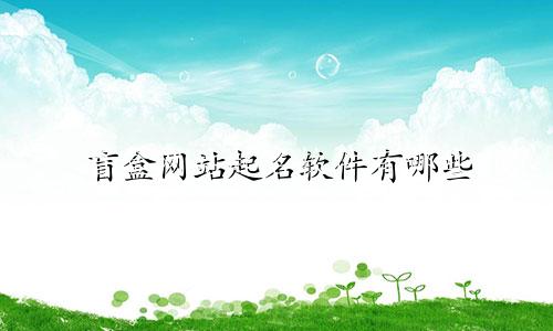盲盒网站起名软件有哪些